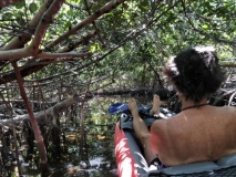 Kayaking the mangroves