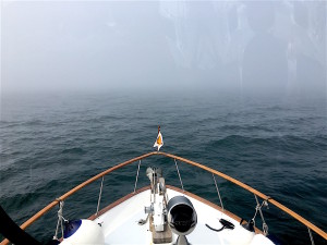 half mile visibility - maybe!