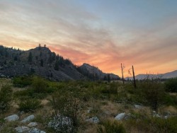 Sunset at Alta St Park