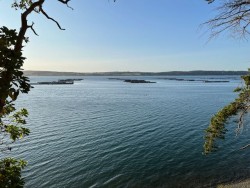Mussel barges in front of Ken & Susie's house