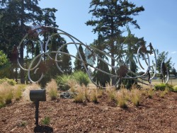 Oak Harbor oak leaves logo