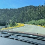 Road to Sunrise Point; Mt. Ranier NP, WA