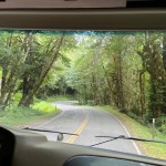 Road to Hoh Rainforest