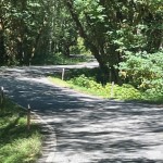 Windy, narrow, terrible detour road near Olympic NP; WA