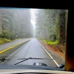 Redwood NP; Klamath, CA