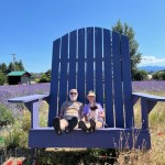 In Bloom Lavender Farm