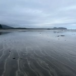 South Beach at low tide