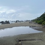 Harris Beach; Brookings, OR