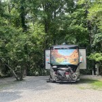 Abbeville  Palmetto Island SP, LA