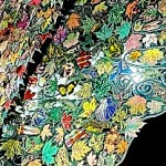 Color enhanced to show images.